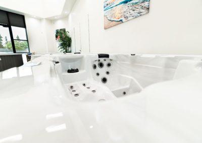 United Spas Mfg LLC - Dolphin Hot Tub Spa